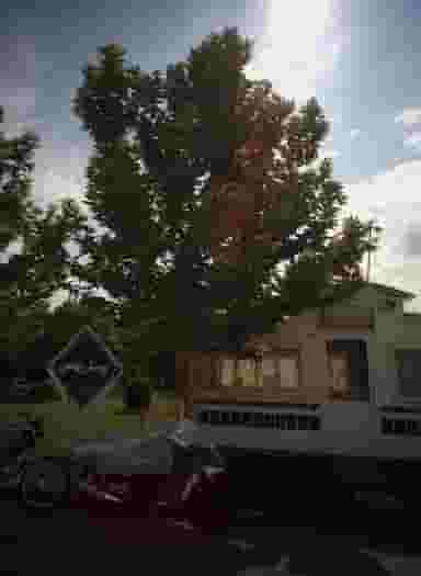 بوستان بهامین در آب و برق مشهد