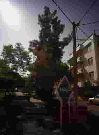 بوستان شکوفه ها در رضاشهر مشهد