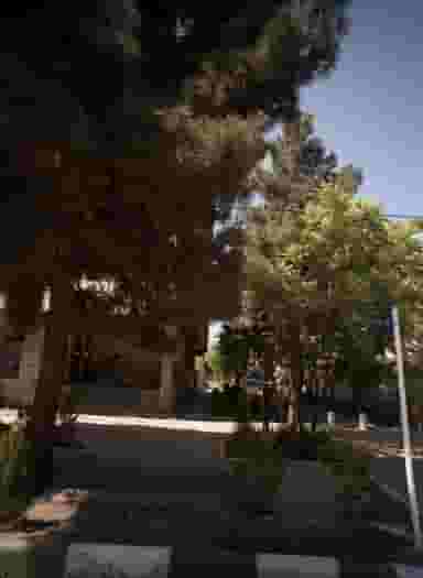 بوستان اطلسی در رضاشهر مشهد