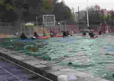 بوستان جنگلی ناژوان در ناژوان اصفهان