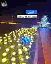 باغ نورانی گل رز اصفهان در ناژوان اصفهان