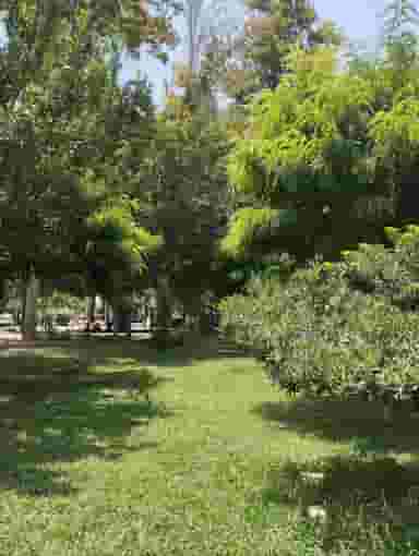 بوستان هفت تیر در مهدی آباد یزد