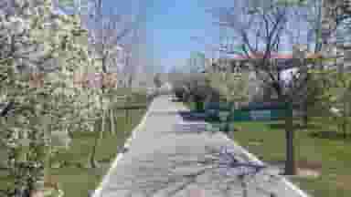 بوستان بهاران در میرداماد تبریز