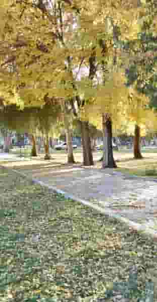 پارک شرقی در طاق بستان کرمانشاه