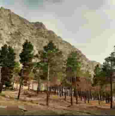 پارک غربی در طاق بستان کرمانشاه