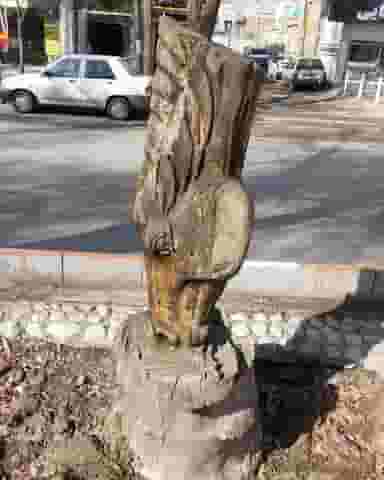 پارک در تازه آباد کرمانشاه