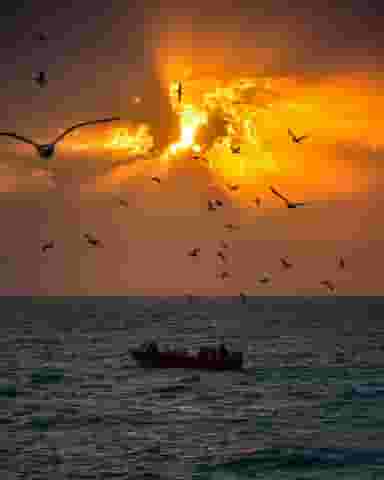 پارک مرجان منطقه نظامی بوشهر