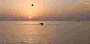 پارک ساحلی کوی بندر بوشهر