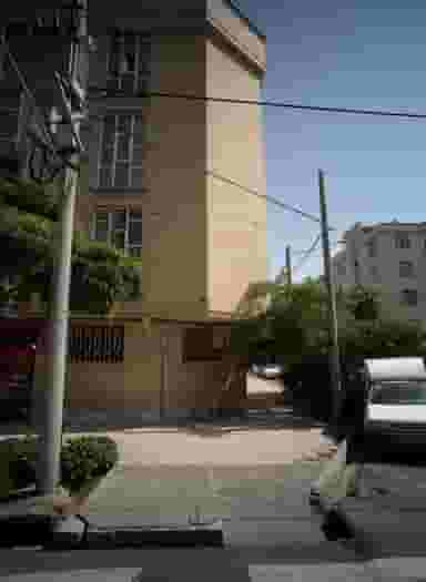 پروتیین صبور در فرهنگ مشهد