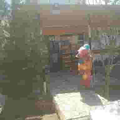 سوپرمارکت مهرداد در دارک اصفهان