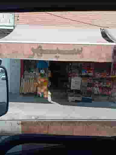 سوپرمارکت سپهر در دوطفلان اصفهان