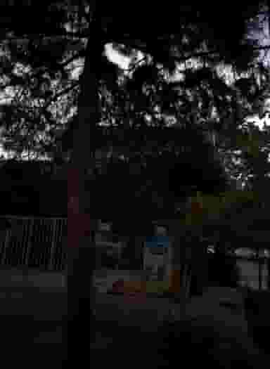 سوپر مهدی در مقدم مشهد