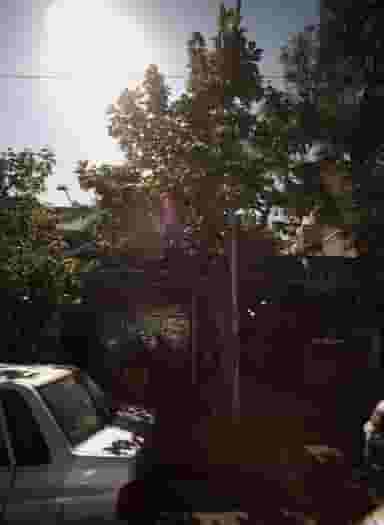 فروشگاه توانا در راه آهن مشهد