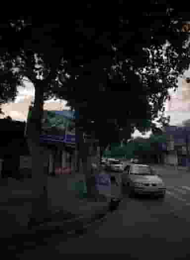 سوپر مارکت طاها در فاطمیه مشهد