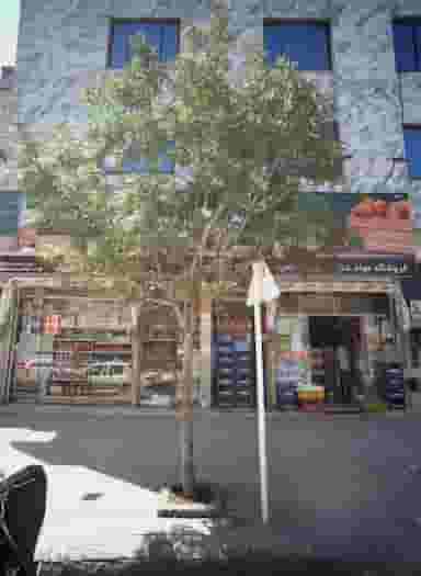 فروشگاه مواد غذایی حمید در امیر المومنین مشهد