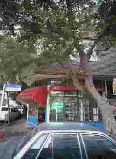 سوپر دوستی در مقدم مشهد