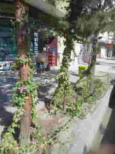 ثامن مارکت در حضرت ابوطالب مشهد