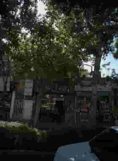 سوپر زائر در بالا خیابان مشهد