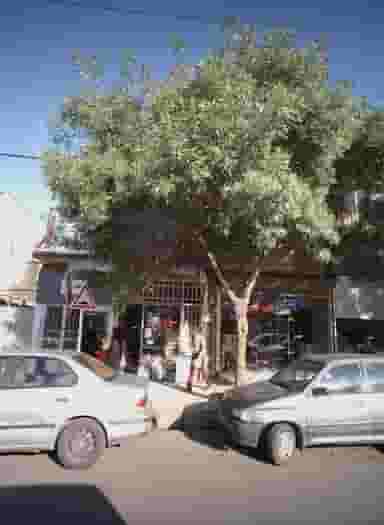 سوپر ساربان در مشهدقلی مشهد