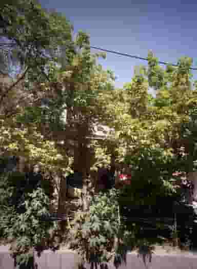 فروشگاه زینت در حضرت ابوطالب مشهد