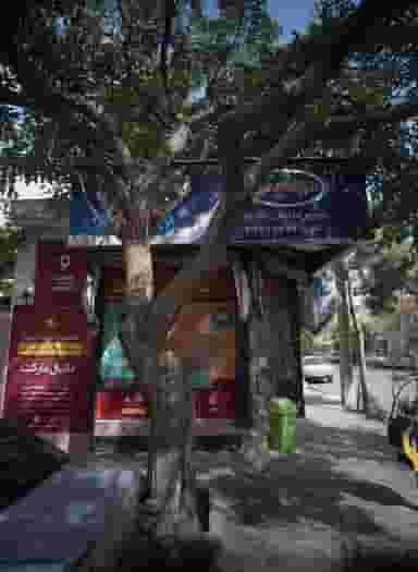 سوپر دانیال در فلسطین مشهد