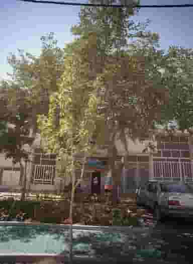 سوپر میثم در کوشش مشهد