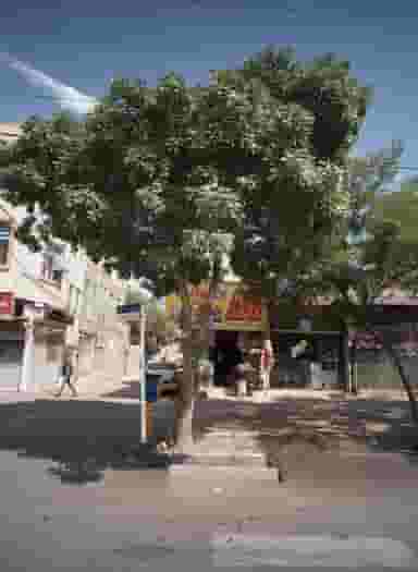 هایپر مارکت رضوانی در فاطمیه مشهد