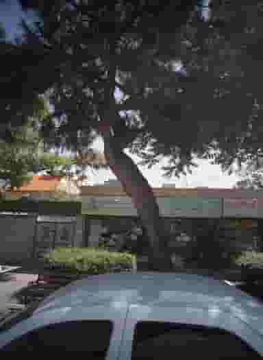 موادغذایی مشهدالرضا در خرمشهر مشهد