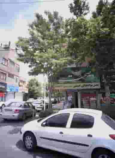 پخش مواد غذایی حسینی در دانشجو مشهد