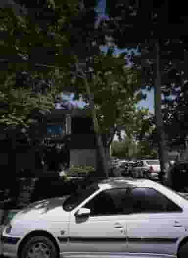 سوپر حسام در احمد آباد مشهد