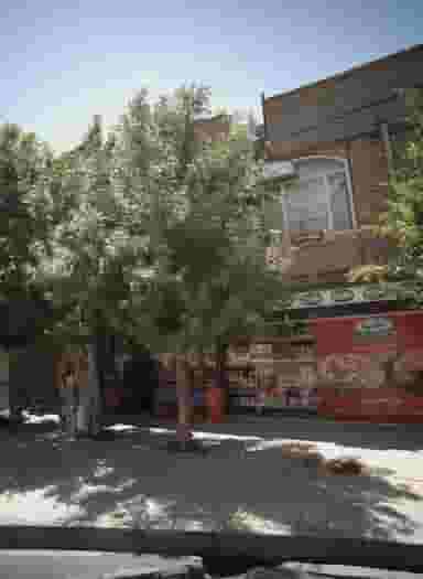 سوپر محسنی در انقلاب مشهد