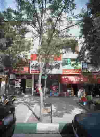 مواد غذایی صدف در آزادشهر مشهد