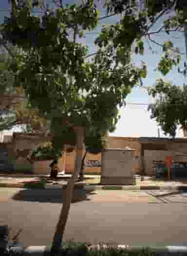 سوپر جواد در بلال مشهد