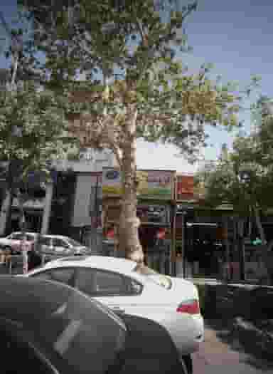 فروشگاه میثاق در عامل مشهد