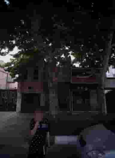 ماریا مارکت در گوهرشاد مشهد