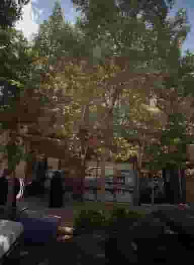 مواد غذایی برادران وزیری در پنجتن مشهد