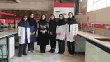 هنرستان فنی دختران در بهارستان تهران