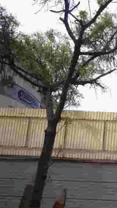 هنرستان دخترانه کوثر در نازی آباد تهران