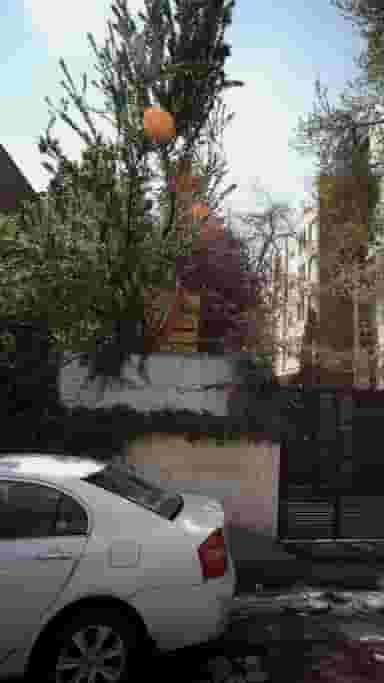 هنرستان دخترانه مهدی جواهری در قلهک تهران