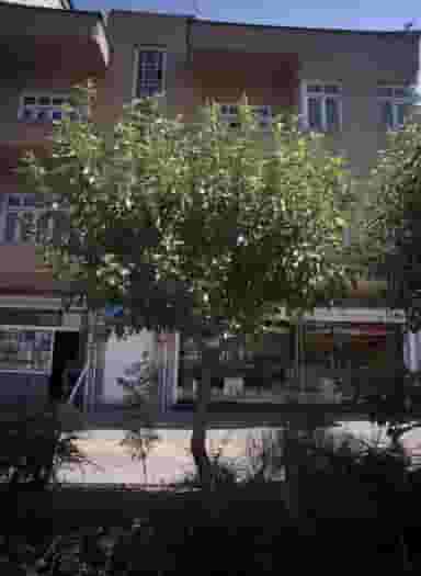 فروشگاه صالحی در فردوسی تهران