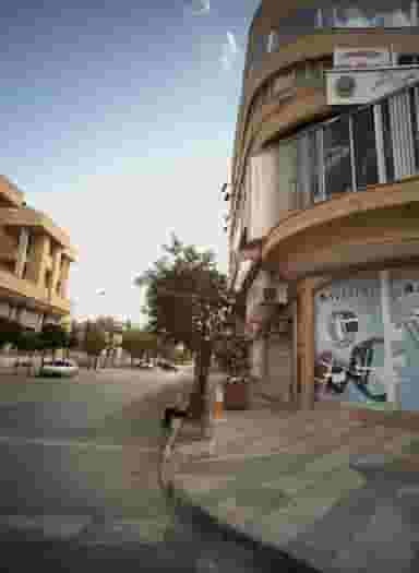 مرکز تخصصی لوازم هنری نقاشی و معماری در سجاد شهر مشهد