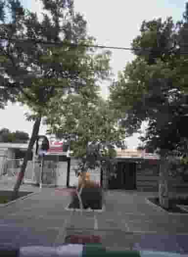 محصولات فرهنگی شبکه 3 در رضاشهر مشهد