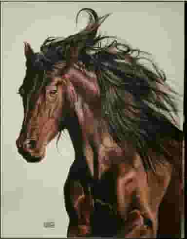 گالری نقاشی کمالی شهرک بهارستان کرج