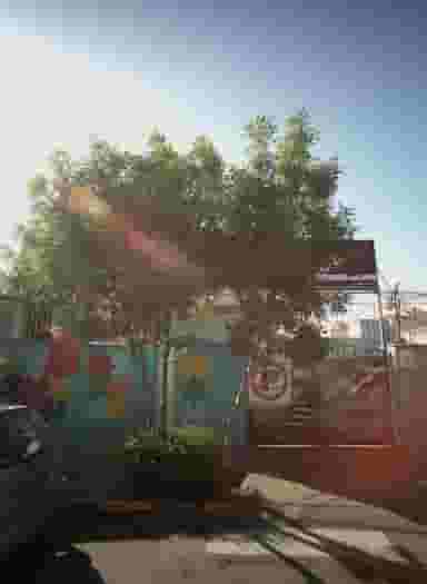 هنرستان ابو نصر فارابی در 10 دی مشهد