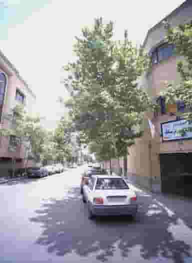 هنرستان تربیت بدنی و علوم ورزشی بابک در دانشجو مشهد