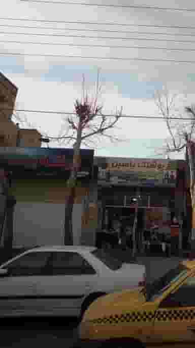 فروشگاه پیوند در شهر خمینی‌شهر