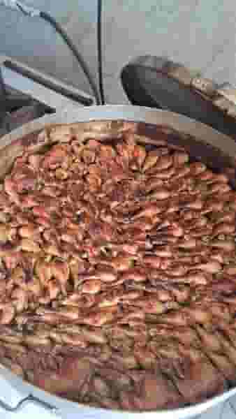 آشپزخانه وغذای آماده ستاره شهر در سراب چمبران نیشابور