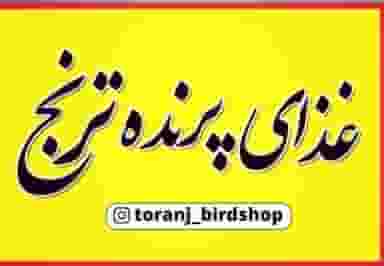 خوراک پرنده ترنج در مصلی سبزوار