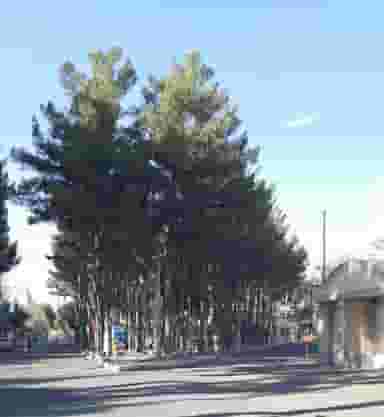 باغ کودک فاطمی در ابو مسلم سبزوار