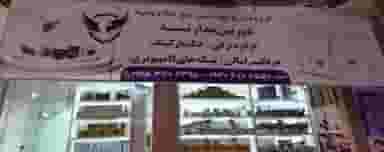 موج الکترودید در ابو مسلم سبزوار